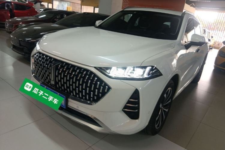 Used Wey Mocha 2021 2.0T Four-Wheel Drive Premium Edition