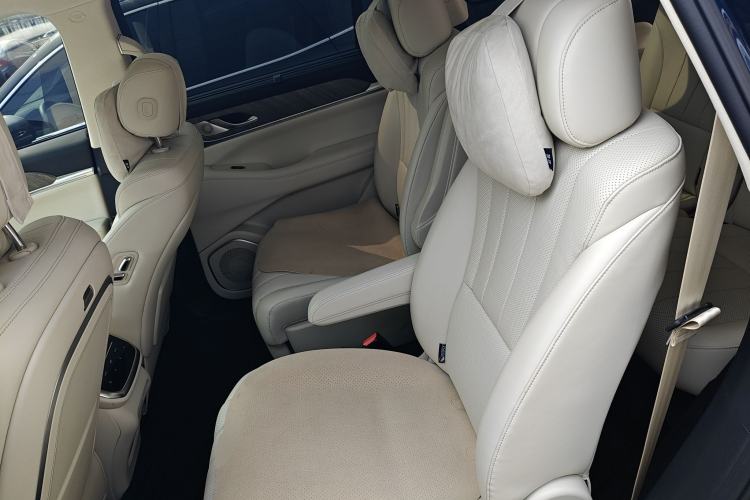 Used Wey Lanshan 2023 Four-Wheel Drive Ultra-Long Range Version Left Rear Seat