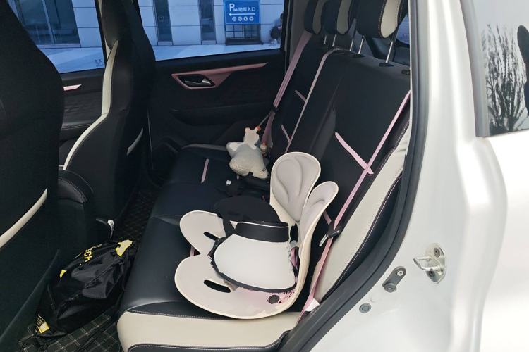 Used SOL E10X 2022 Flower Fairy Style Baby's Breath