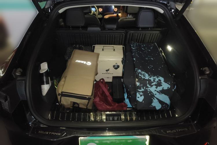 Used Ford Mustang Mach-E 2021 AION Y Plus Rear-Drive Luxury Edition (Long Range)