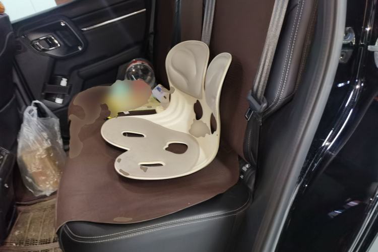 Used Haval H Dog New Energy 2023 DHT-PHEV 105km Tide Electric Version Plus Left Rear Seat