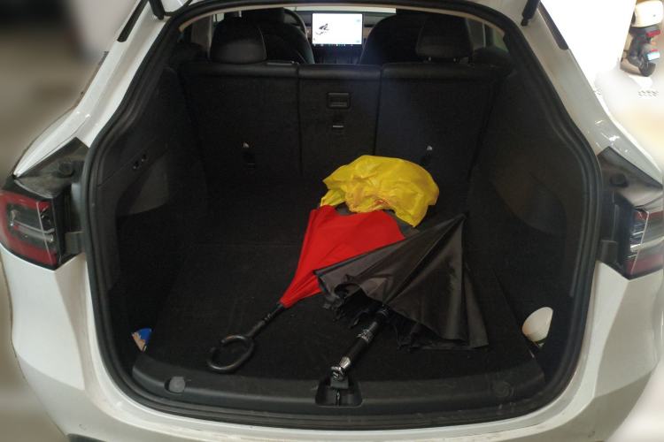 Used Tesla Model Y 2021 Standard Range Rear-Wheel Drive Version
