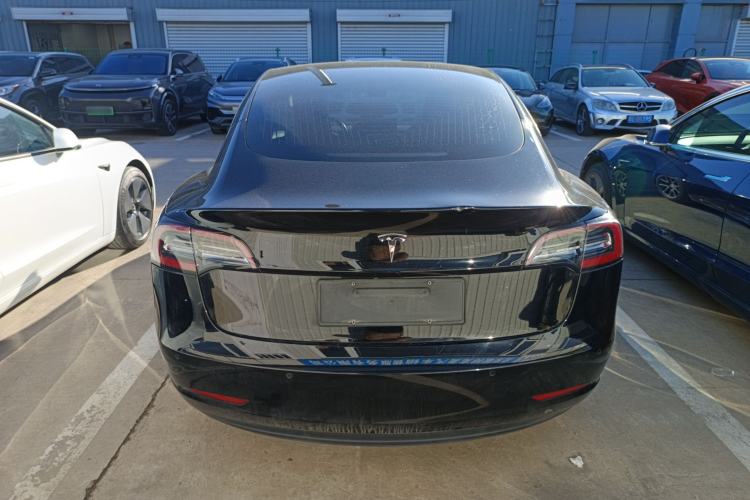 Used Tesla Model 3 (Import) 2019 Long-Range Rear-Wheel-Drive Version
