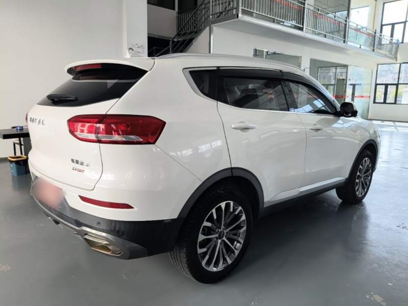 Used Haval H6 2020 2.0 GDIT Automatic Platinum Champion Edition — 6