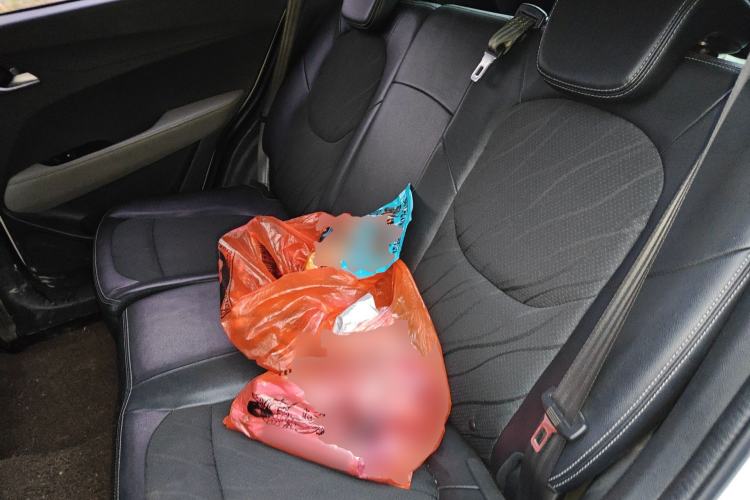 Used Baojun 510 2017 1.5L Manual Fashion Model Left Rear Seat