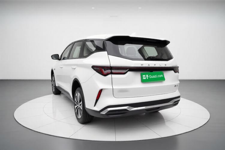 Used Livan Maple 80v L 2024 407 km 6 Seats
