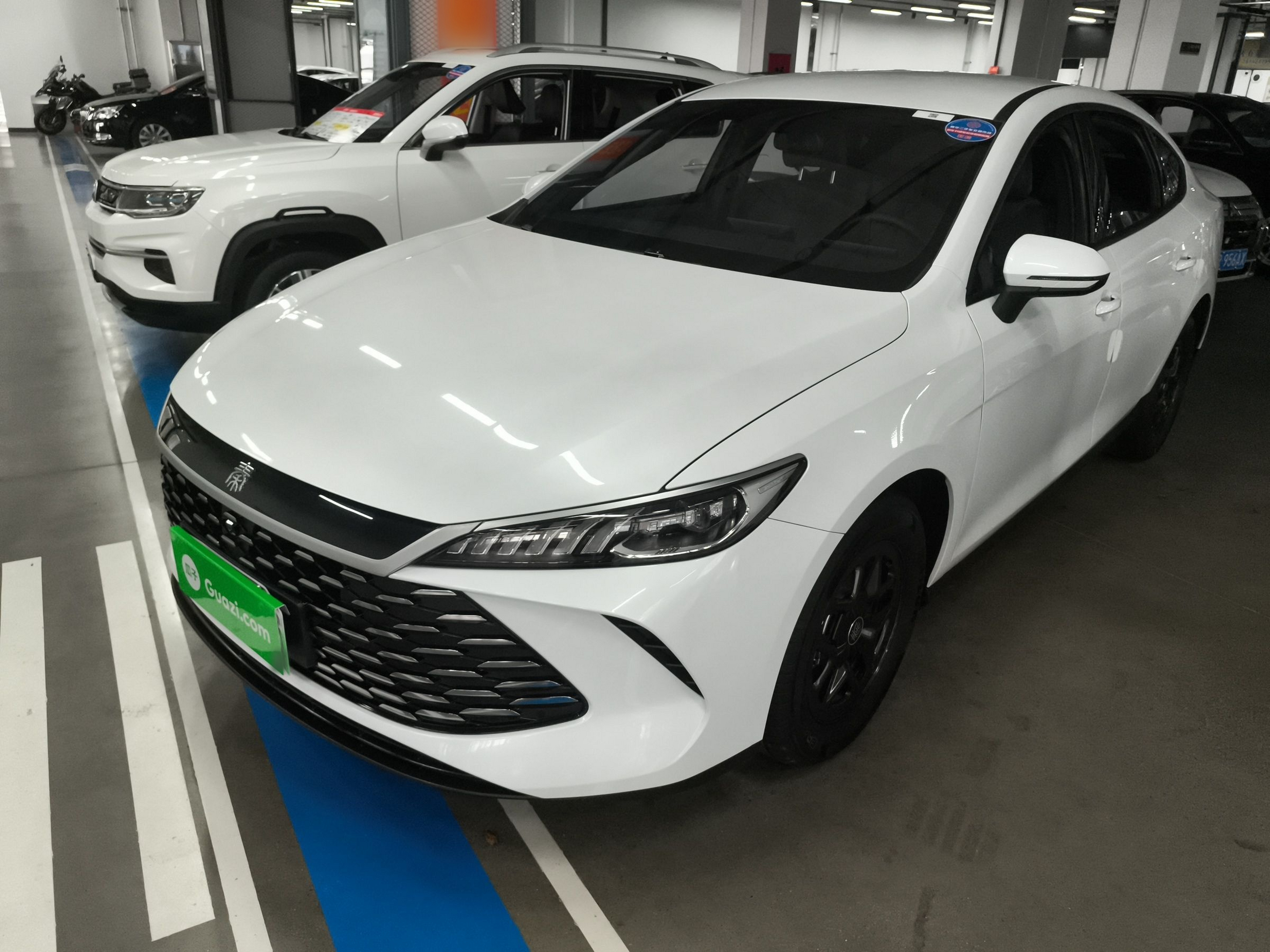 Parte inferior delantera