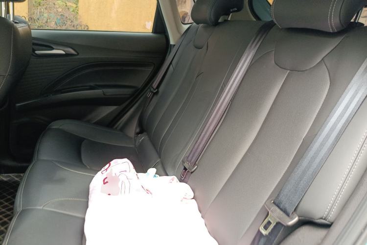 Used NETA V 2022 Online Booking Custom Edition
