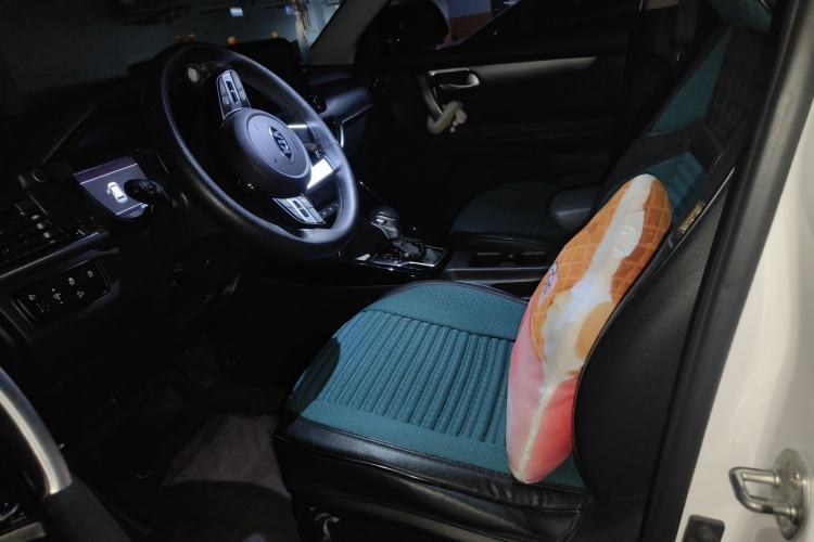 Used Kia Sportage R 2019 2.0L Automatic Smart Luxury Edition Left Front Seat