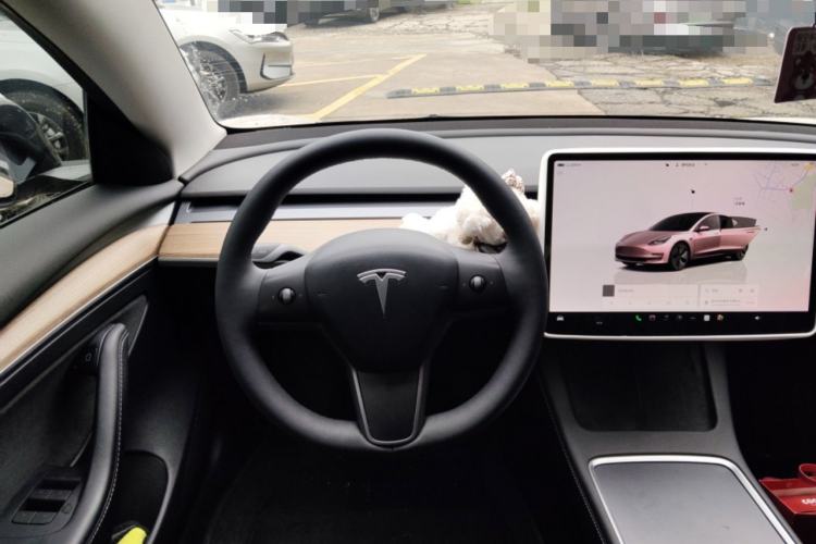 Used Tesla Model 3 2022 Rear-Wheel-Drive Version Steering Wheel