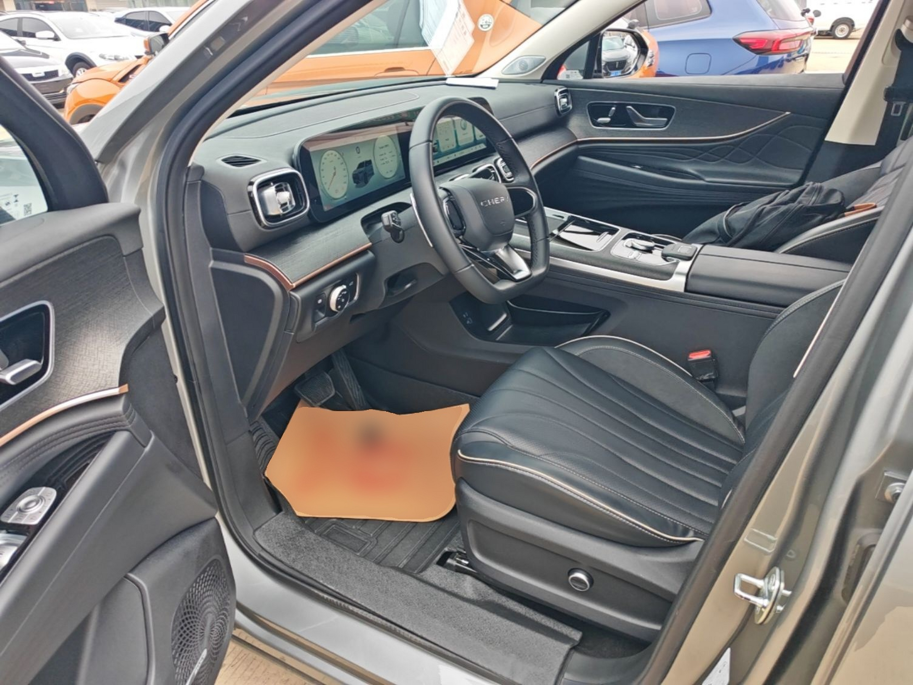 Interior delantero