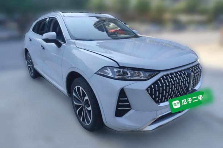 Used Wey Mocha 2021 2.0T Two-Wheel Drive Special Edition
