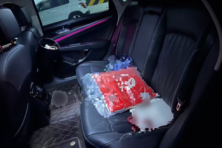 Used Volkswagen Passat New Energy 2023 430 PHEV Hybrid Luxury Edition