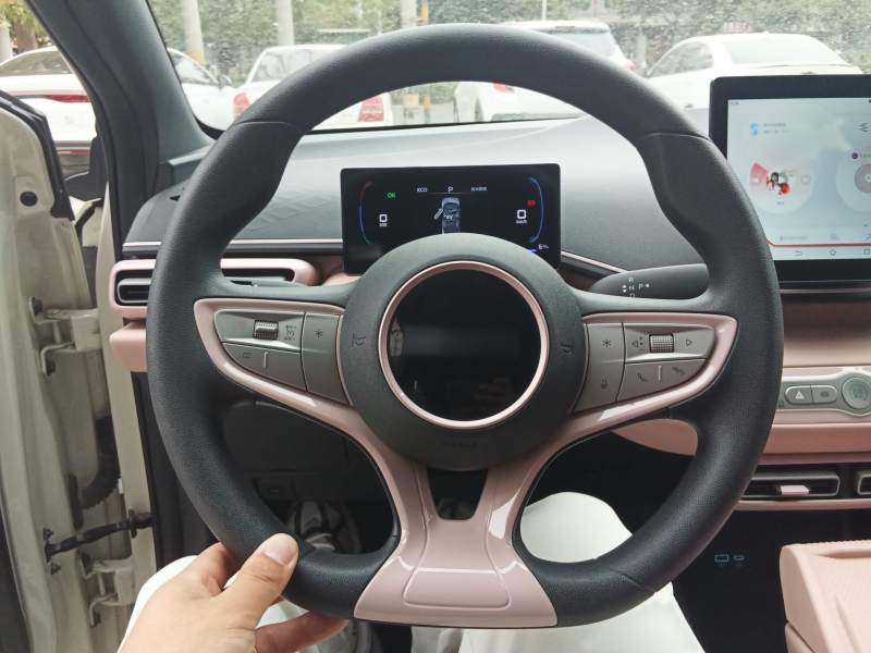 Used BYD Seagull 2025 Intelligent Driving Version 305 km Dynamic Edition — 2