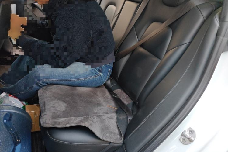 Used Tesla Model 3 2020 Standard Range Rear-Wheel Drive Upgraded Version Left Rear Seat