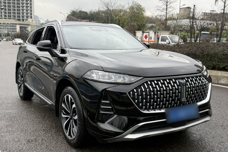 Used Wey Mocha 2021 2.0T Two-Wheel-Drive Premium Edition