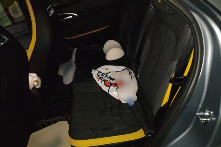 Used ORA Good Cat GT 2023 Mulan Edition 401 km Premium Version Left Rear Seat