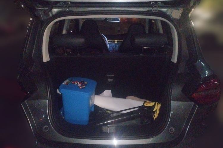 Used Leapmotor T03 2020 400 Luxury Edition