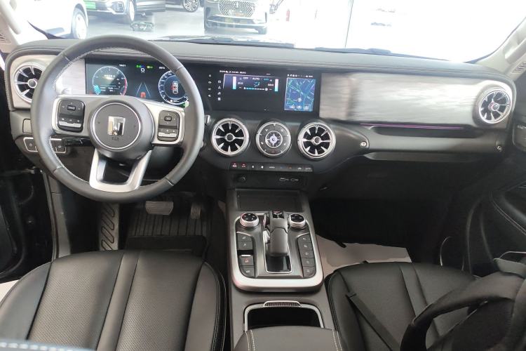 Used Tank 300 2024 2.0T Conqueror