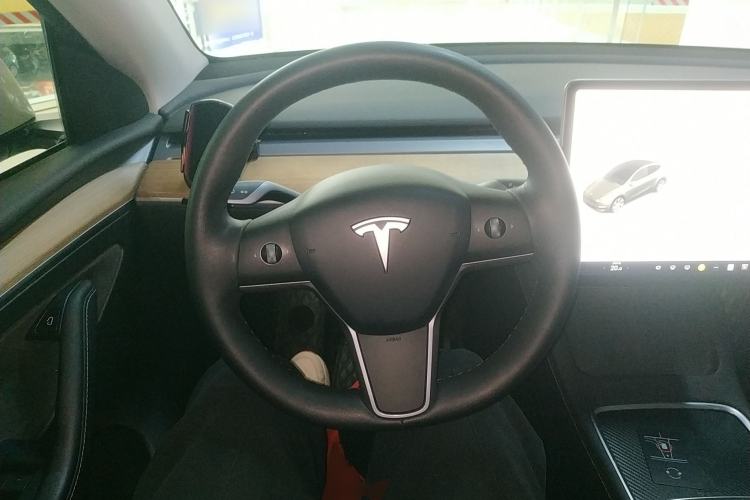 Used Tesla Model Y 2021 Standard Range Rear-Wheel Drive Version
