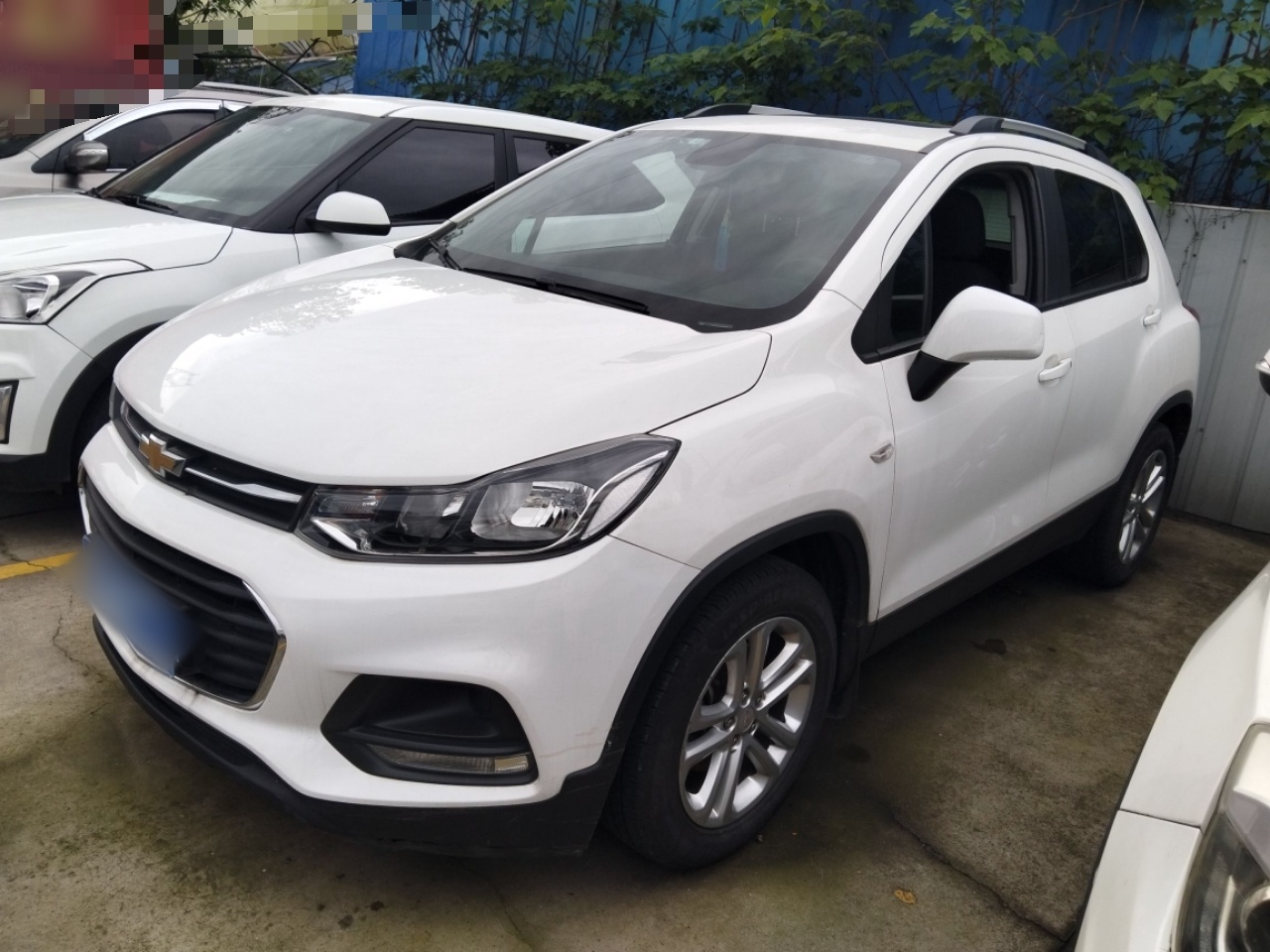 Parte inferior delantera