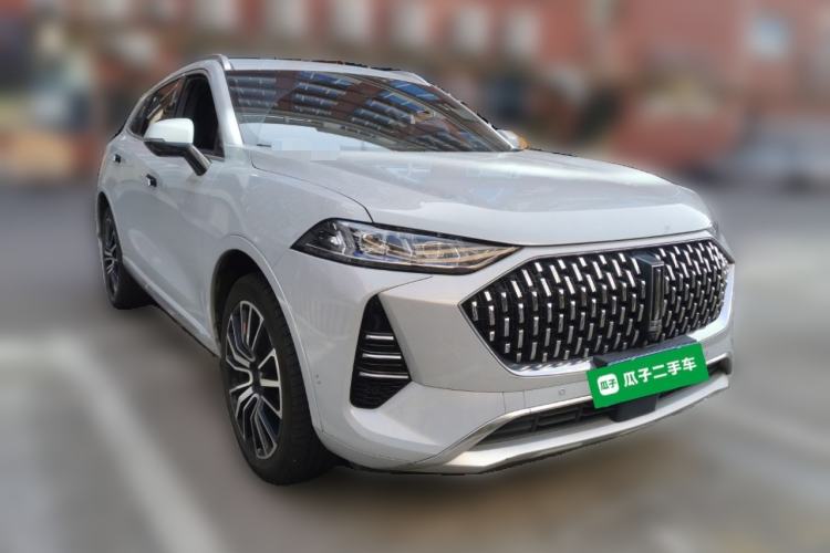 Used Wey Mocha 2021 2.0T Four-Wheel Drive Premium Edition