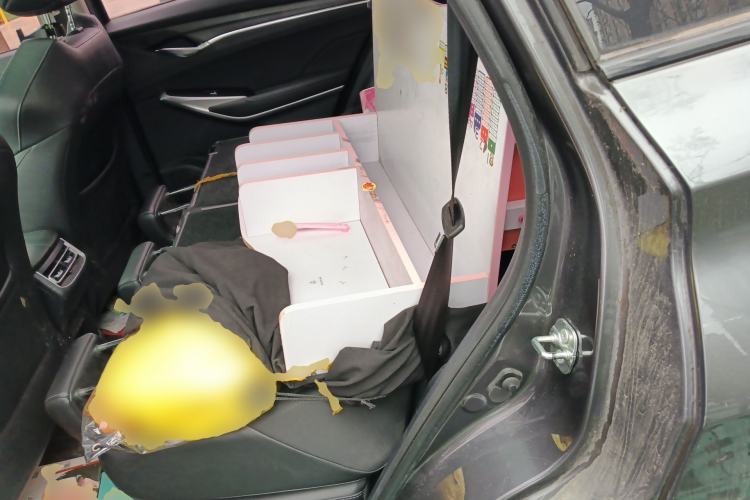 Used CHANGAN CS75 PLUS 2020 1.5T Automatic Luxury Version Left Rear Seat