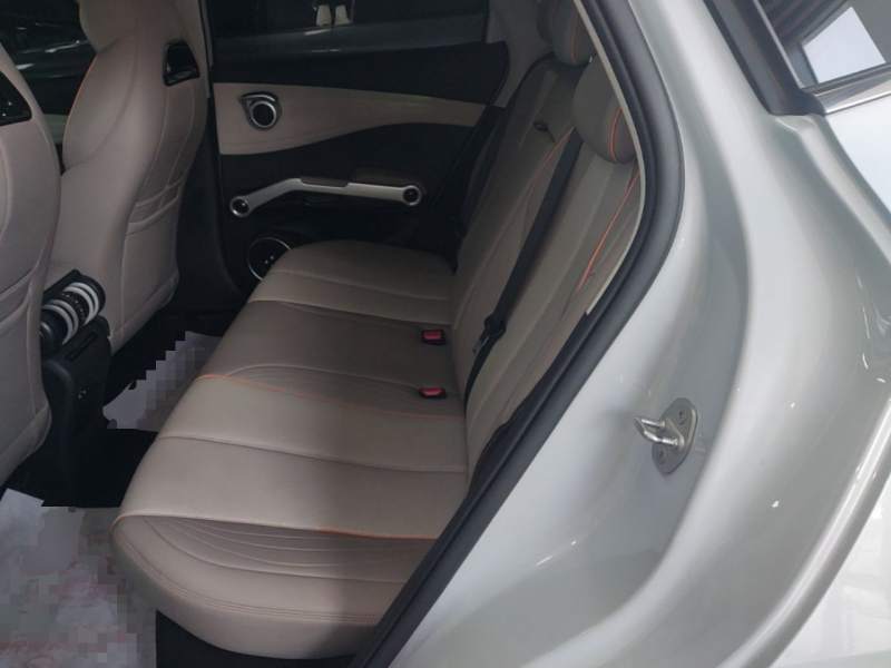 Used BYD Yuan PLUS 2023 Champion Edition 430KM Superior Model — 16