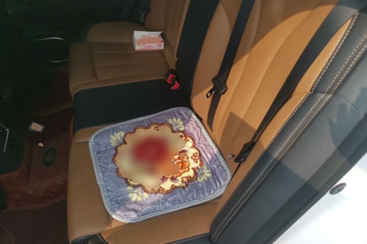 Used BYD Qin New Energy 2017 1.5T Luxury Model
