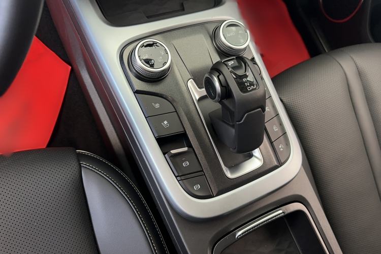 Used Tank 300 2021 City Edition 2.0T—Truly Stylish
