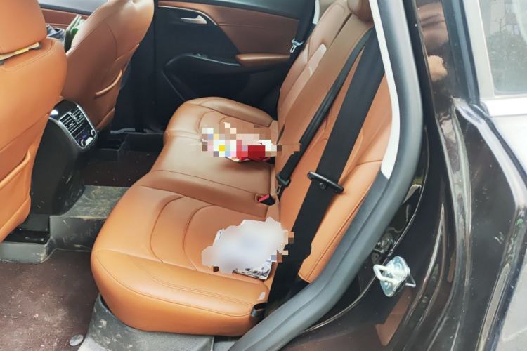 Used BORGWARD BX7 2016 28T 2WD Elite Edition 5-seater Left Rear Seat