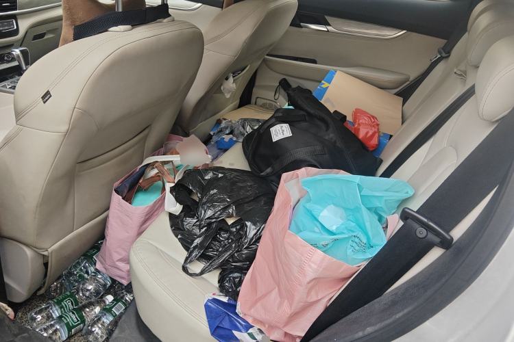 Used Hanteng X5 2018 1.5T CVT Luxury Edition Left Rear Seat