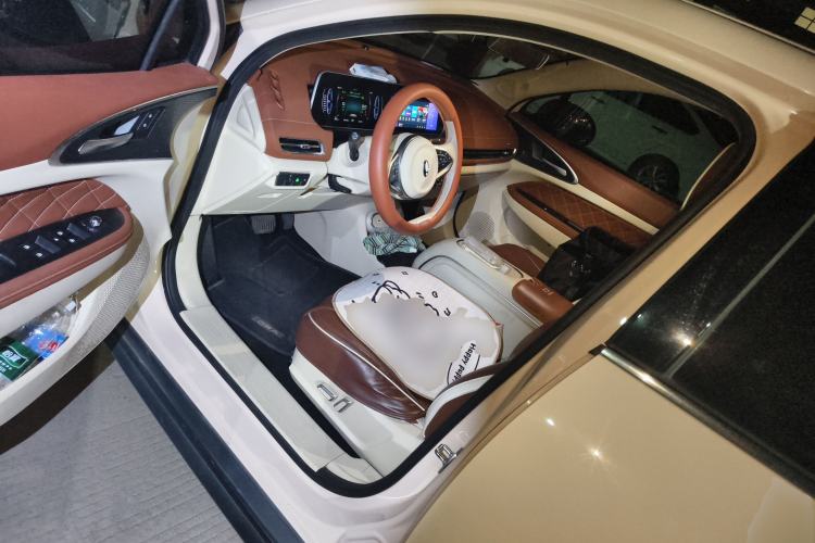 Used ORA Good Cat 2023 401 km Standard Range Luxury Version Lithium Iron Phosphate Driver Seat