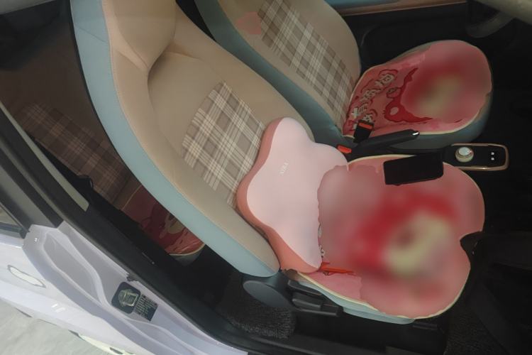 Used Chery QQ Ice Cream 2024 170km Sundae Right Front Seat