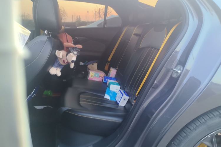 Used GAC Trumpchi EMPOW 2021 270T DCT J15 Version Left Rear Seat