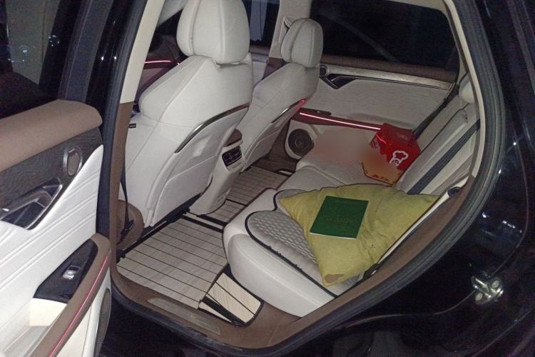 Used VOYAH FREE 2021 Two-Wheel Drive Standard Pure Electric City Edition