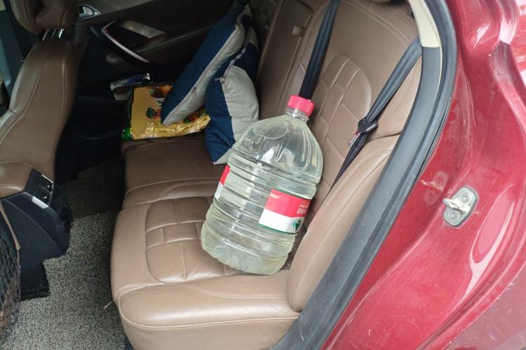 Used DS 4S 2016 1.8T Automatic Prestige Edition THP200 Left Rear Seat