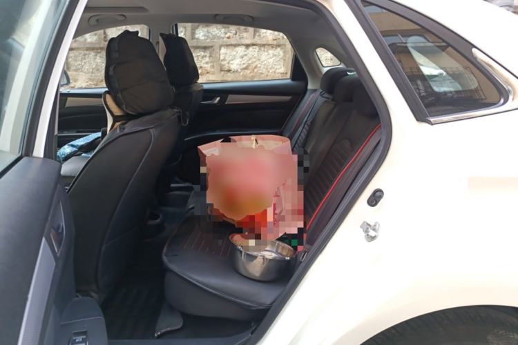 Used Bestune B30 2016 1.6L Automatic Luxury Model Left Rear Seat