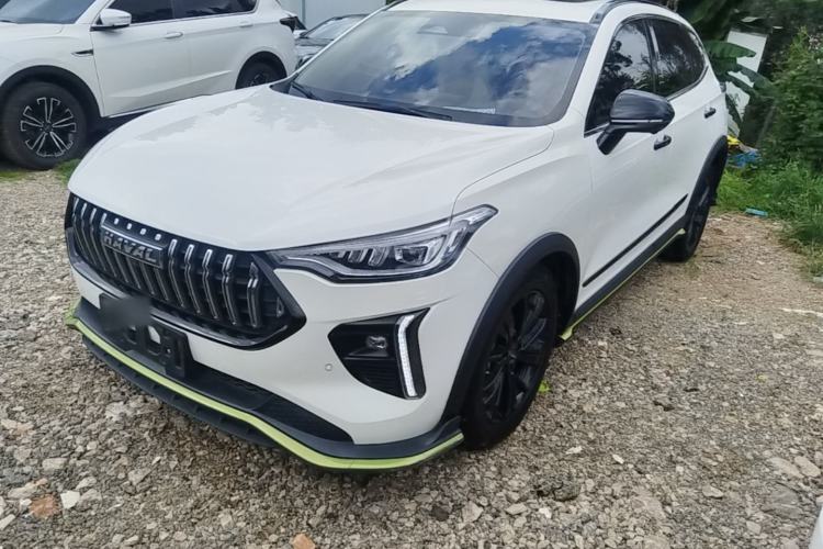 Used Haval LHERY 2021 High-Performance Version 1.5T Golden Rabbit