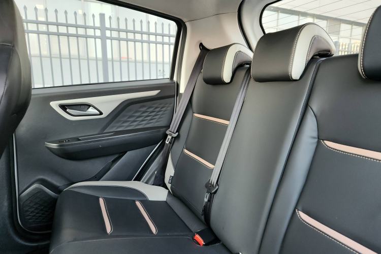 Used SOL E10X 2022 Flower Fairy Style Baby's Breath