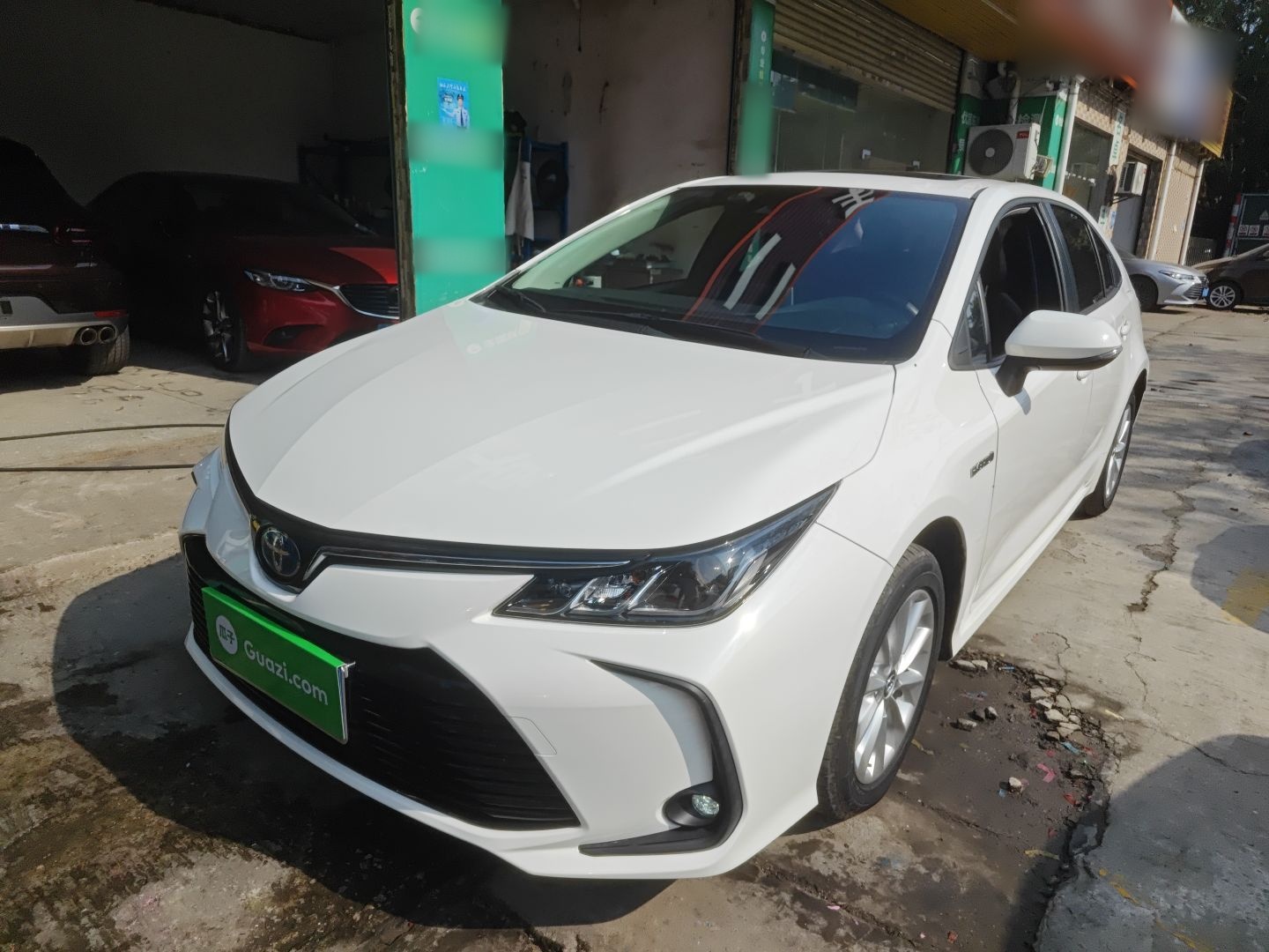 تحت مقدمة السيارة