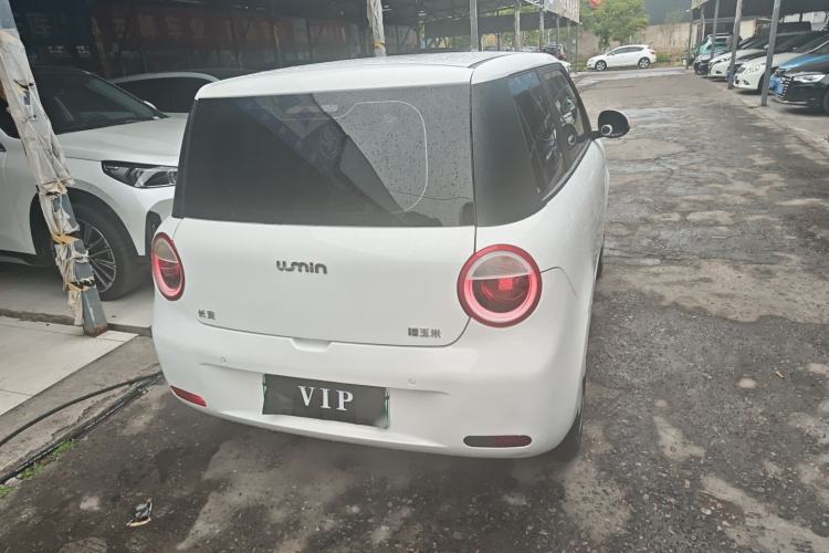 Used Qiyuan Lumin 2022 210km Sweet Edition