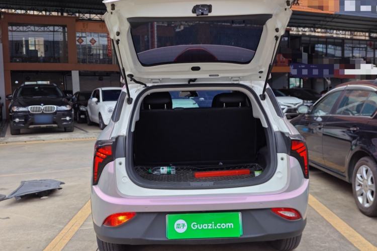 Used NETA V 2021 Long-Range Entertainment Edition Upgrade Model