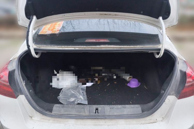 Used Geely Auto Emgrand New Energy 2018 EV450 Ambition Model