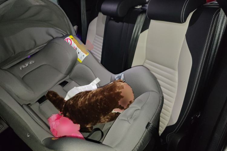 Used Land Rover Discovery Sport 2021 249 PS R-Dynamic HSE Luxury Custom Edition Left Rear Seat