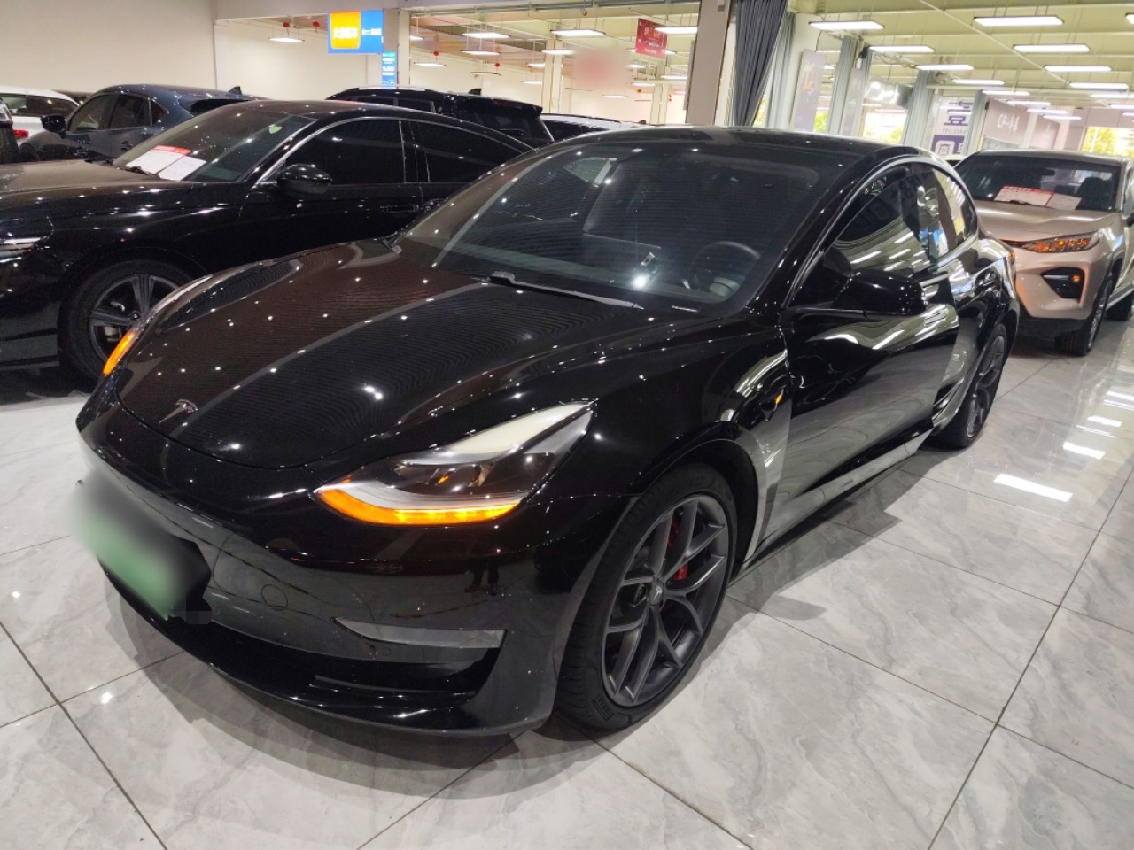 Parte inferior delantera