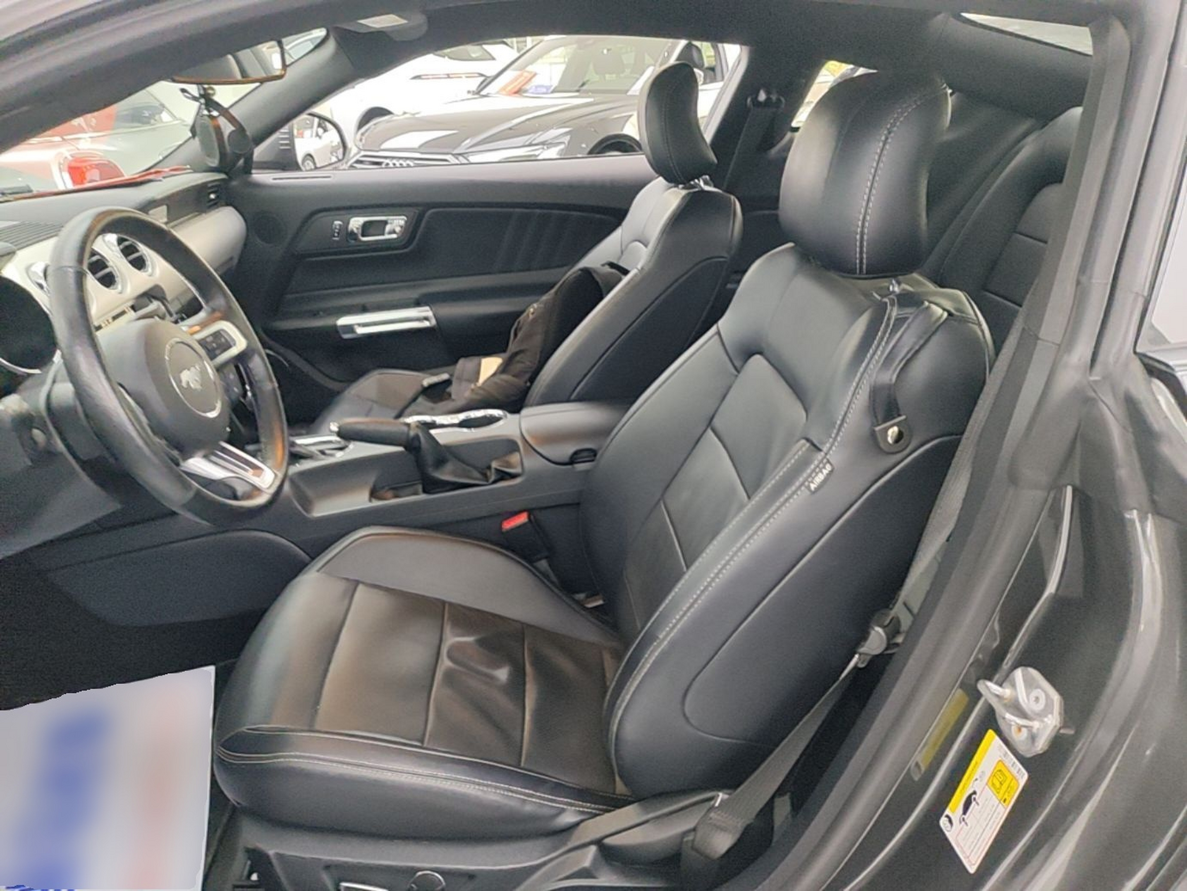 Interior delantero