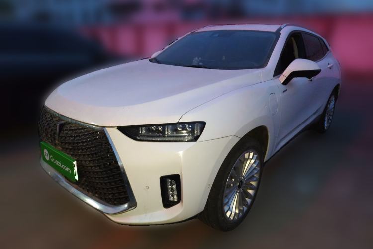 Used Wey P8 2018 2.0T Flagship Model