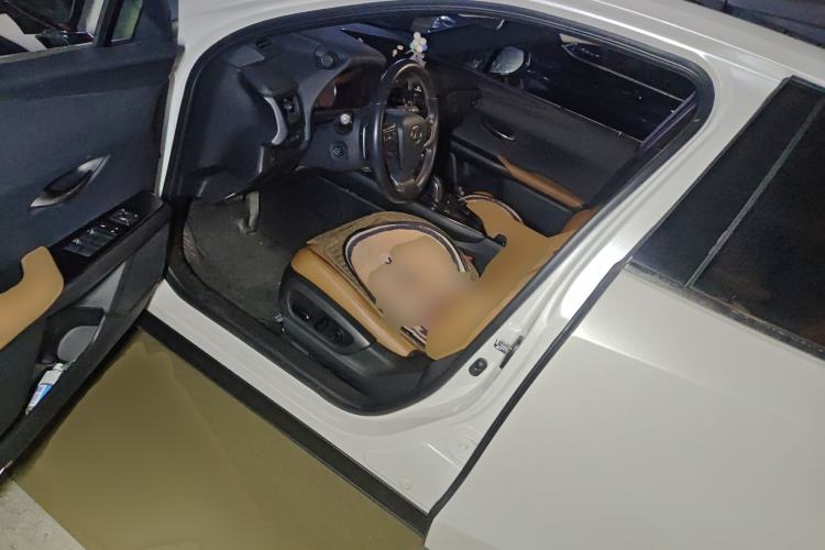 Used Lexus UX New Energy 2020 300e Pure·Joy Edition
