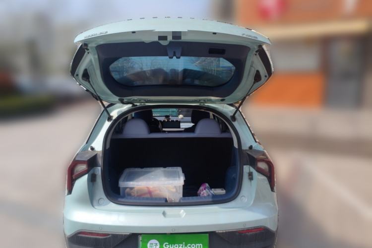 Used Geometry E Firefly 2022 401 km Linglong Tiger 4 Seats